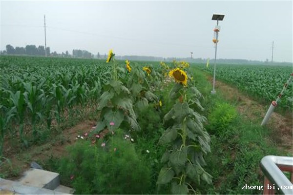 便携式食品安全检测仪在餐饮业中的应用
