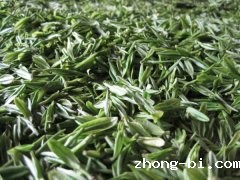 茶叶农药残留检测仪介绍