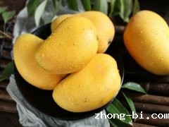 农药检测仪助力检测芒果农药残留