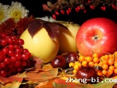 食品安全分析仪器捍卫“舌尖上的安全“