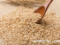 betway体育手机APPG1800食品安全快速检测仪