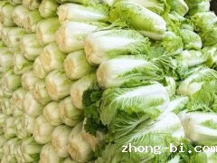 食品安全快速检测仪山东源头厂家