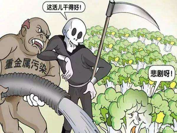 食品重金属快速检测技术有哪些？