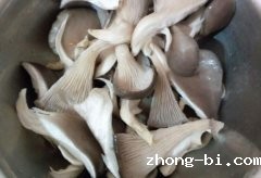 食品重金属检测仪：蘑菇喜欢富集重金属？