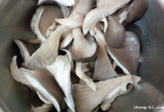 食品重金属检测仪：蘑菇喜欢富集重金属？