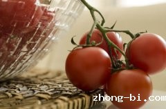 为什么食品安全速测仪得以广泛推广和使用？