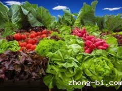 食品安全快速检测意义