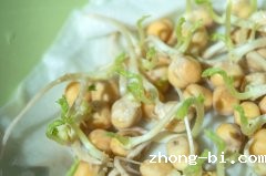 豆芽属于食品还是食用农产品呢？