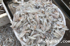 海兔子能吃吗？有什么风险？