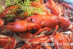 河南新乡进口南美白虾出现阳性核酸样本