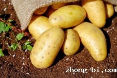 潮州市场监管局发布关于食用马铃薯及四季豆等食品的消费警示
