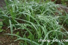 上海公布2021年第25期食品安全抽检信息，3批次食品不合格