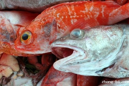 广东公布22批次不合格食品 广东公布22批次不合格食品