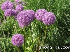 四川公布4批次不合格食品